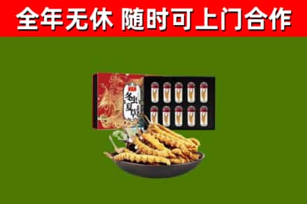 石棉县回收冬虫夏草价格